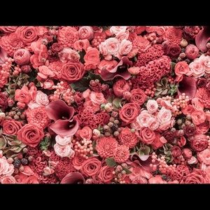 Meet your Posher, Aleyah